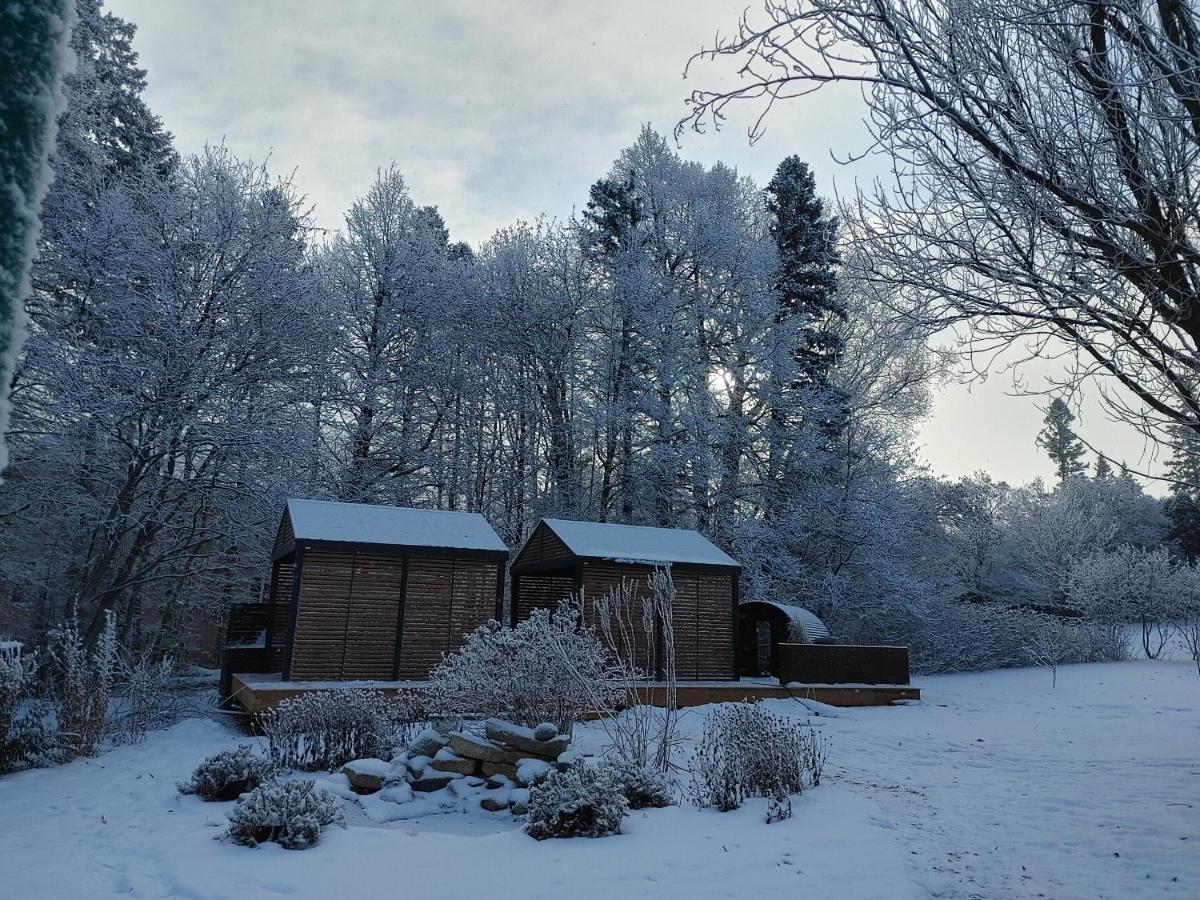 Chateau Murdock Gite Et Esthetique 1950 Chicoutimi エクステリア 写真